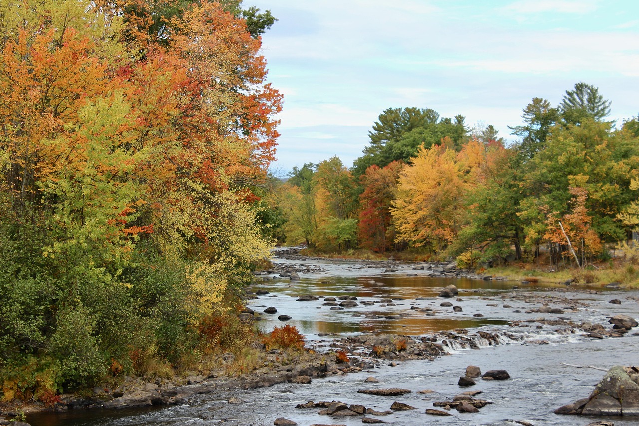 Fall, new england, new hampshire — Join Yesbet – Trusted by Over 250 Verification Communities for Safe Online Gaming